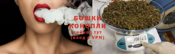 spice Абаза