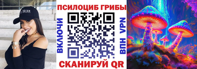 Псилоцибиновые грибы мицелий где продают наркотики Чулым